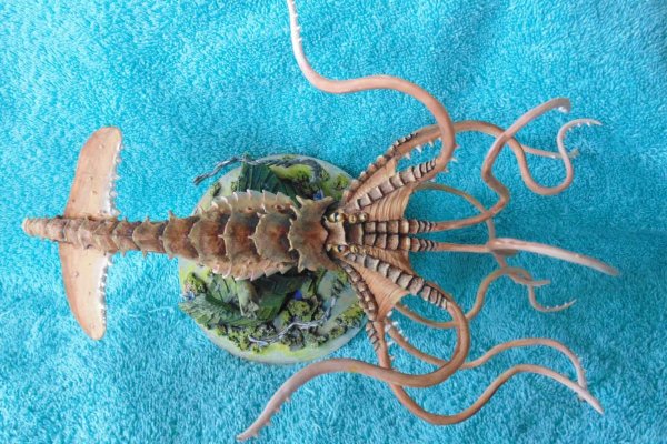 Kraken зеркало kraken link top