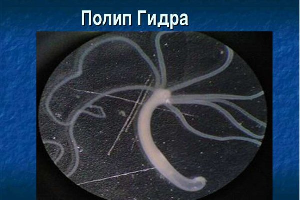 Кракен официальный сайт ссылка