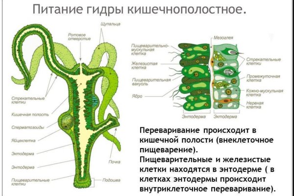 Кракен сайт krknwebs