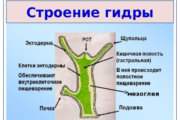 Даркнет официальный сайт вход